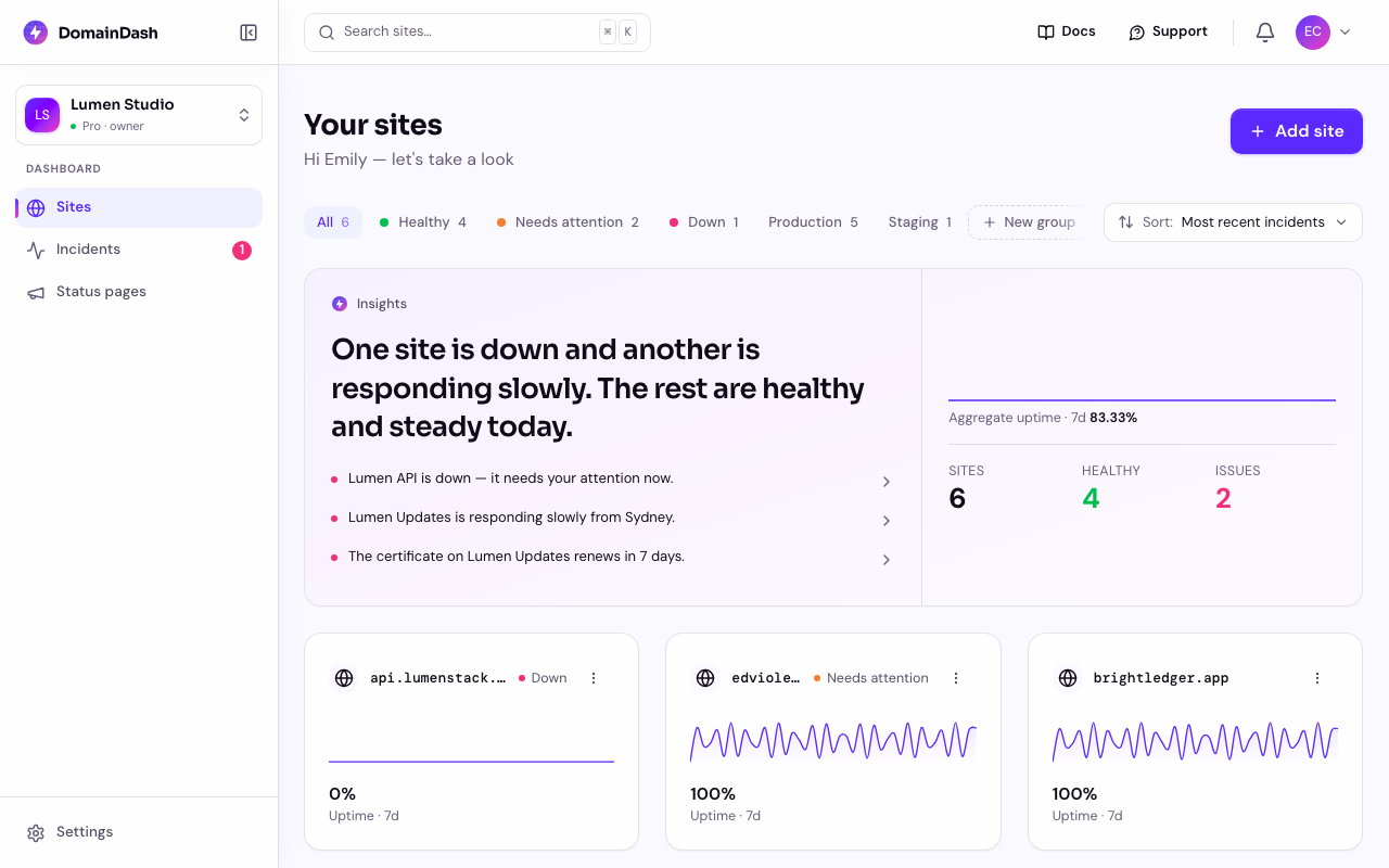 DomainDash dashboard showing site statuses at a glance